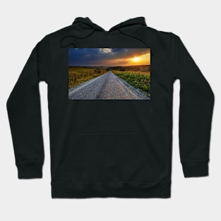 Road through corn fields at sunset Hoodie